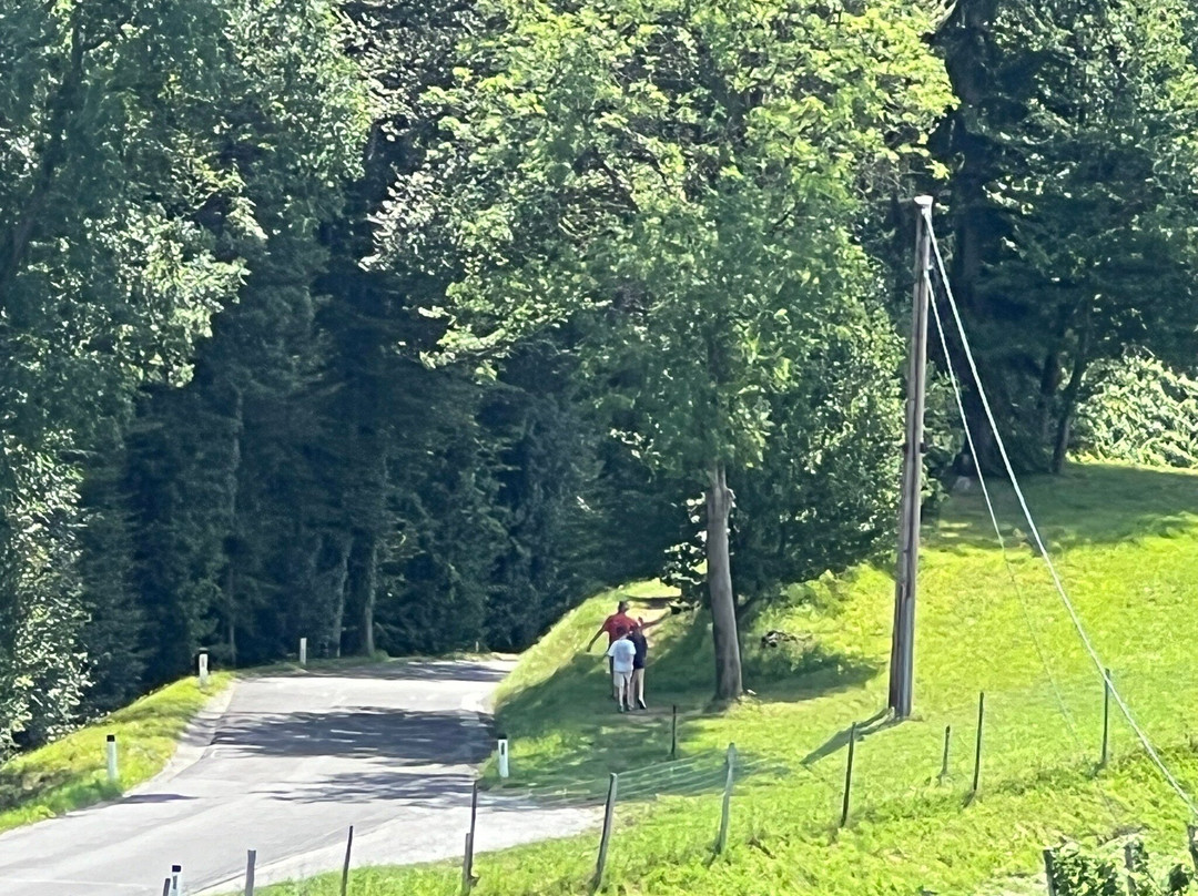 Weingut Fellner主图