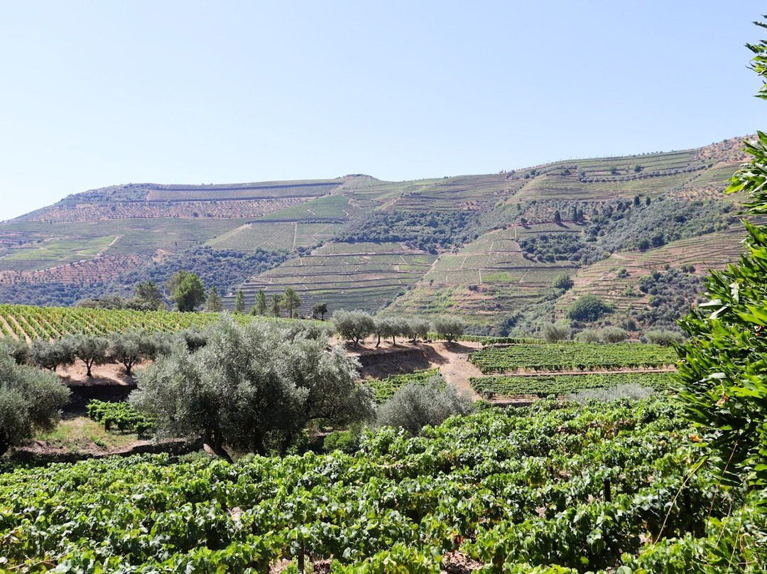 Quinta da Roeda-Pinhao必去景点