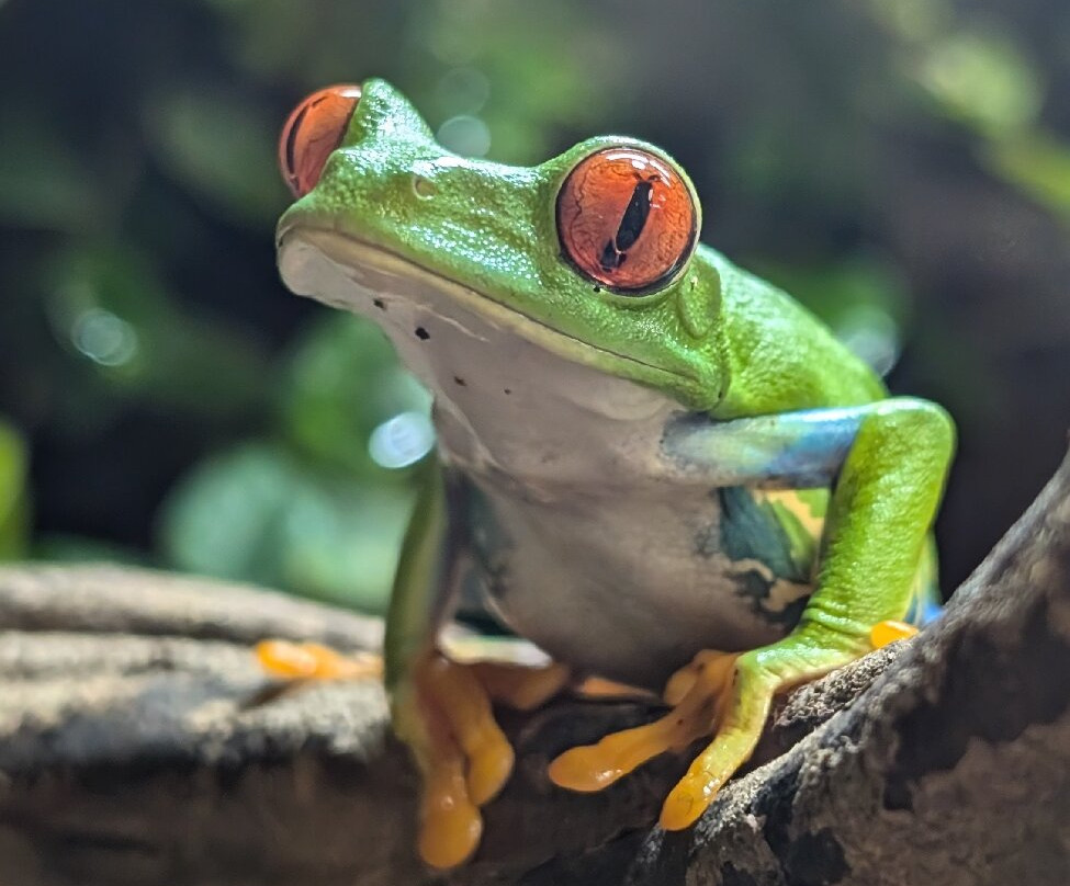 Insectarium de Lizio-Lizio必去景点