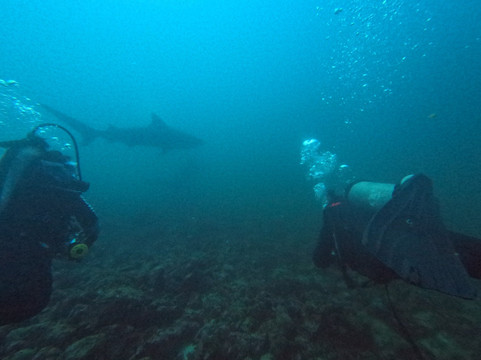 Life & Dive-Playas del Coco必去景点