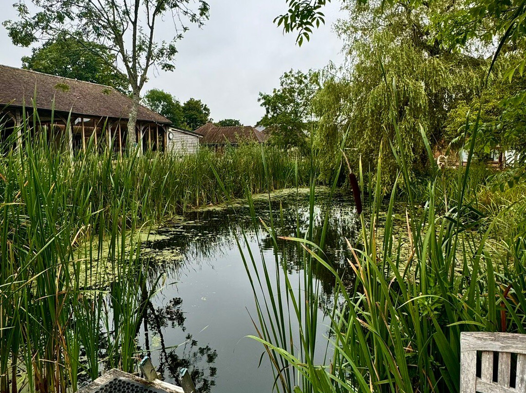 Green Farm Spa & Retreat景点图片