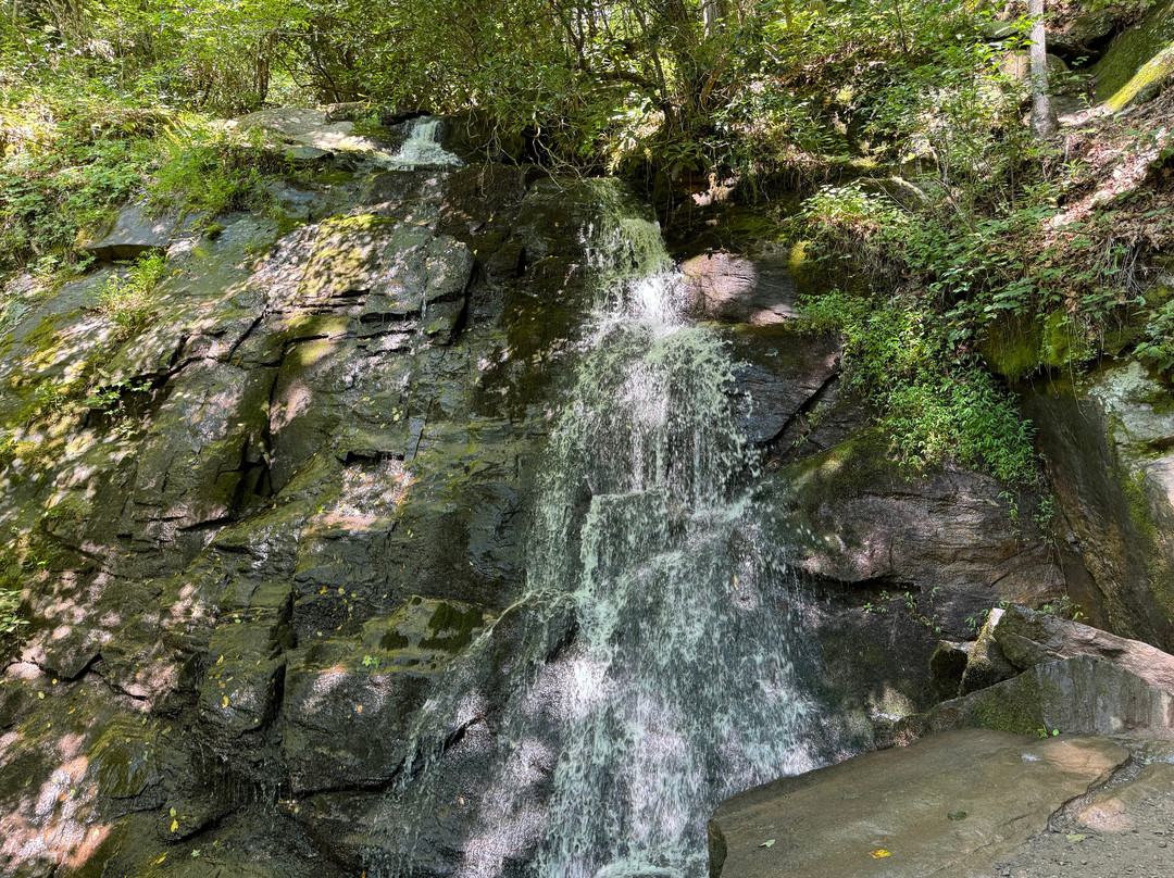Wiggins Cemetery-大雾山国家公园必去景点