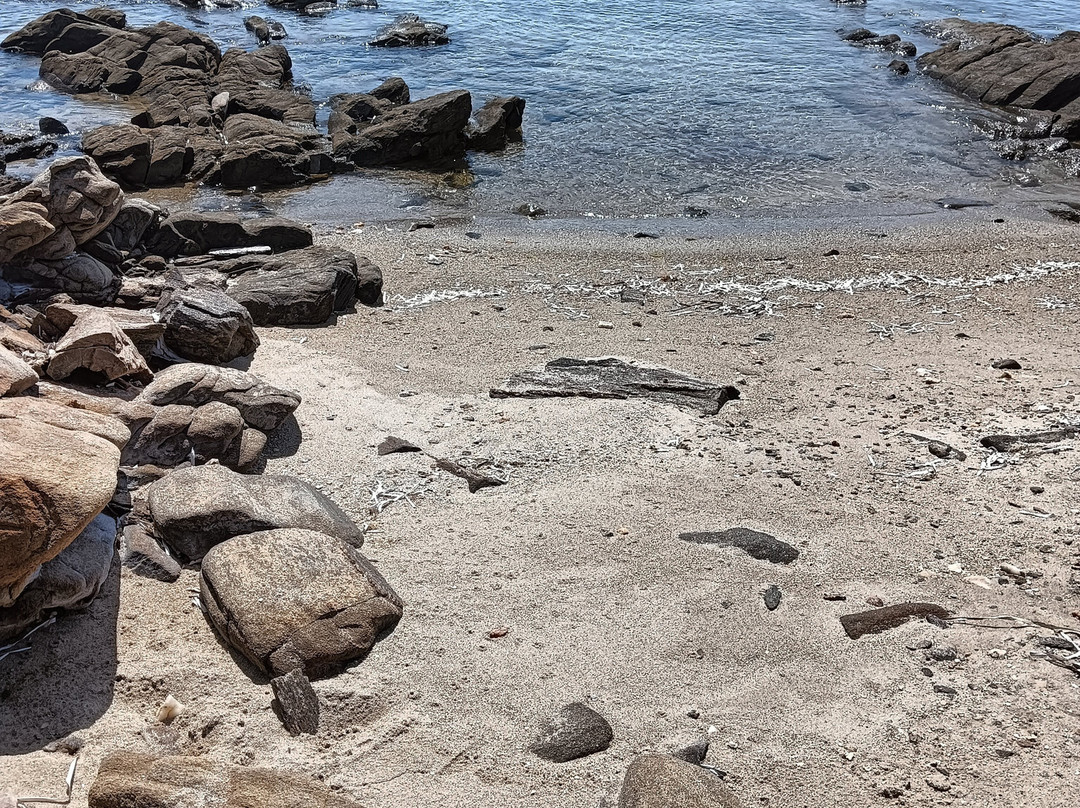 Mare & Natura - Tour Parco dell'Asinara-斯廷蒂诺必去景点