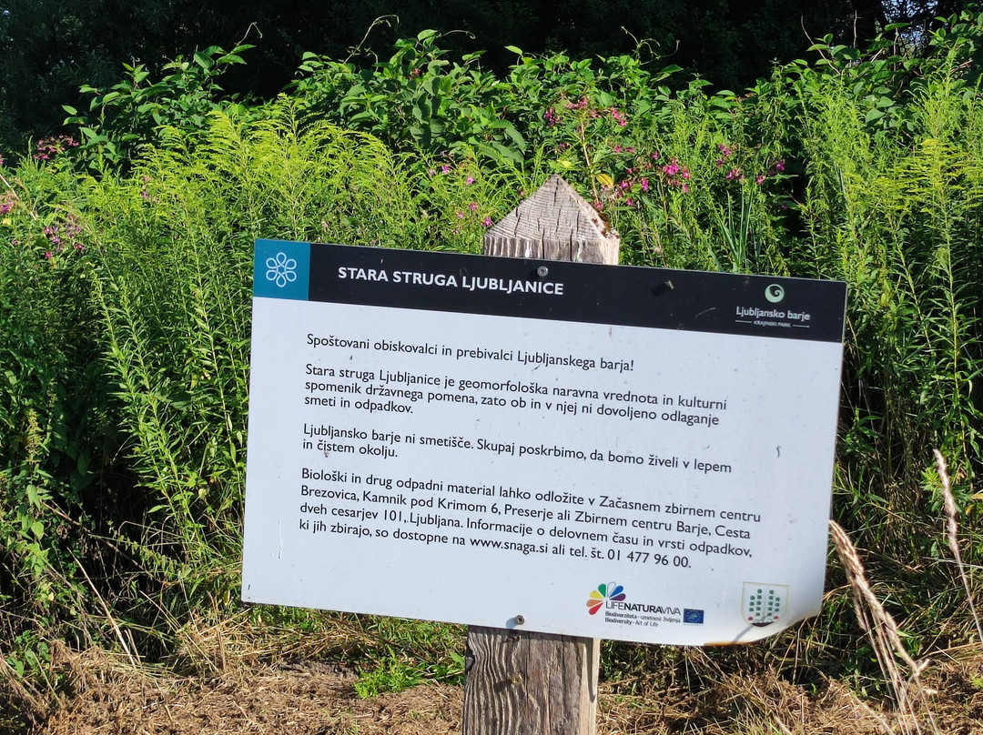 The Former Ljubljanica River Bed