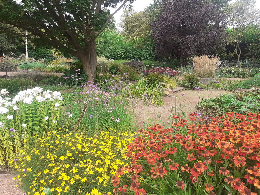 Botanischer Garten景点图片