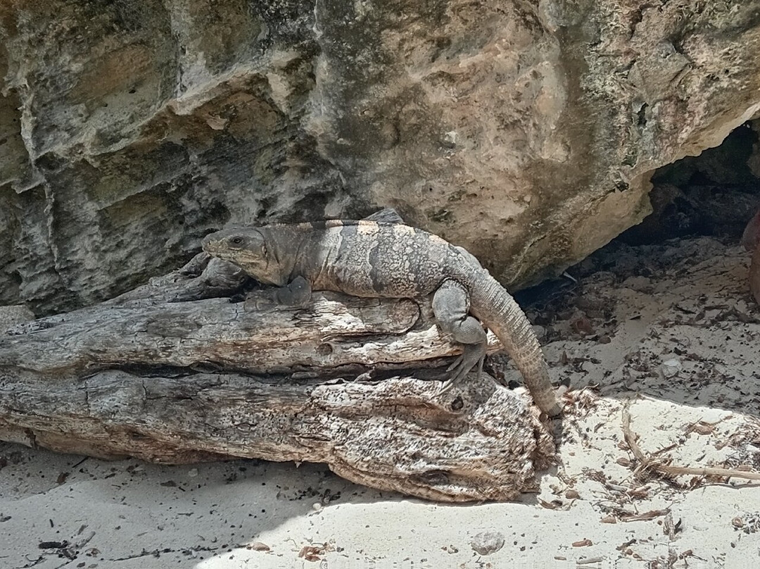 Garrafon De Castilla Beach Club-女人岛必去景点