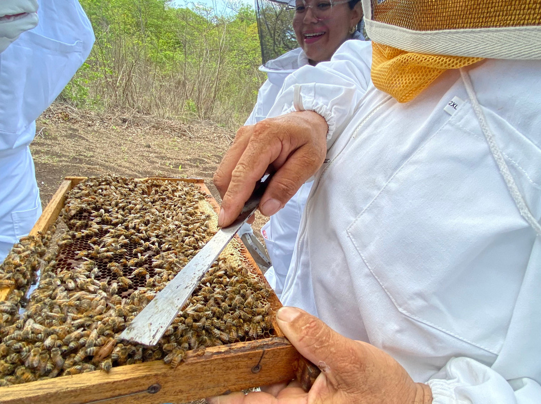 Alianza Mar y Tierra景点图片