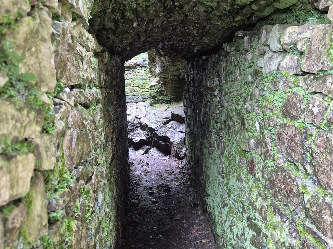 Weobley Castle景点图片