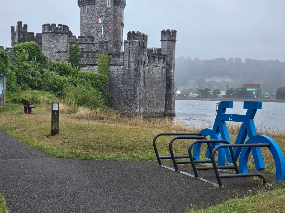 CIT Blackrock Castle Observatory景点图片