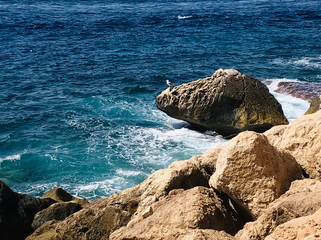 Cala El Raco景点图片