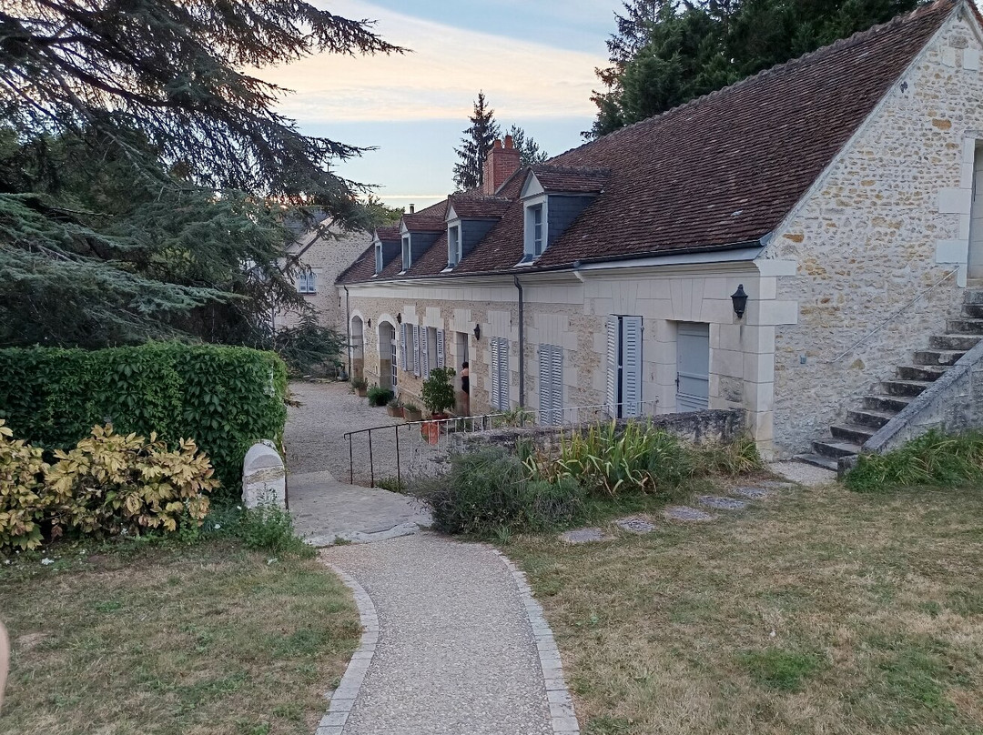 Bella Simonetta主图