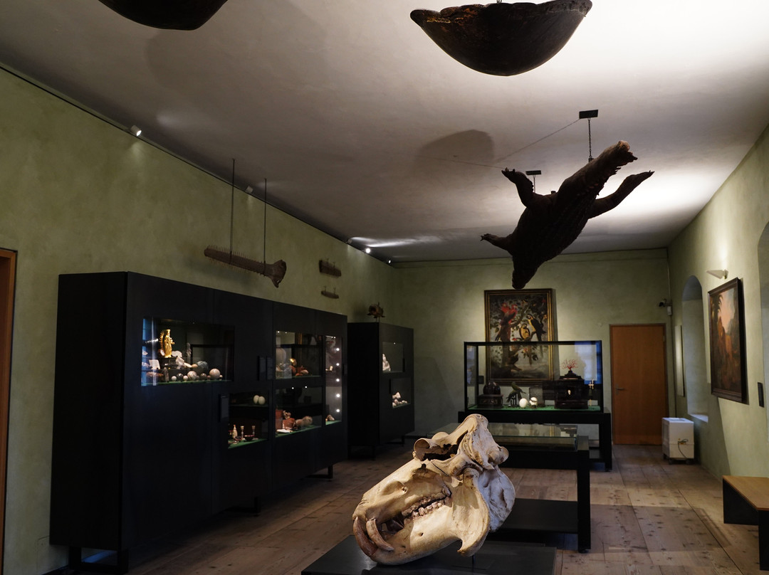 Trausnitz Castle with Cabinet of Art and Curiosities景点图片