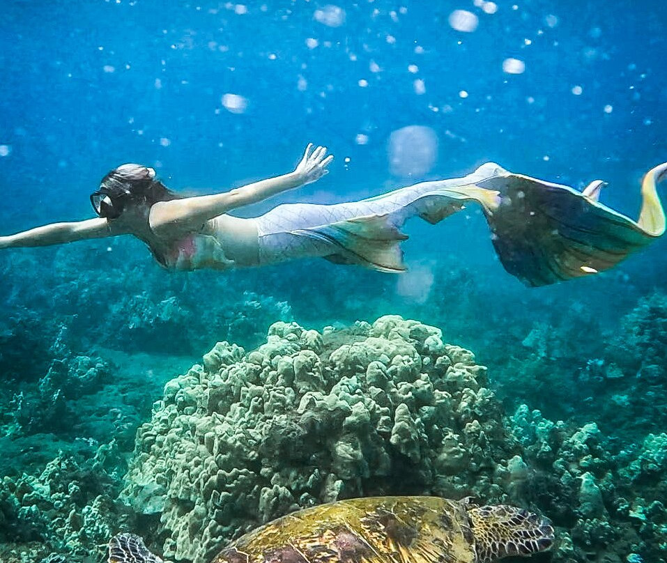 Maui Mermaid School-基黑必去景点