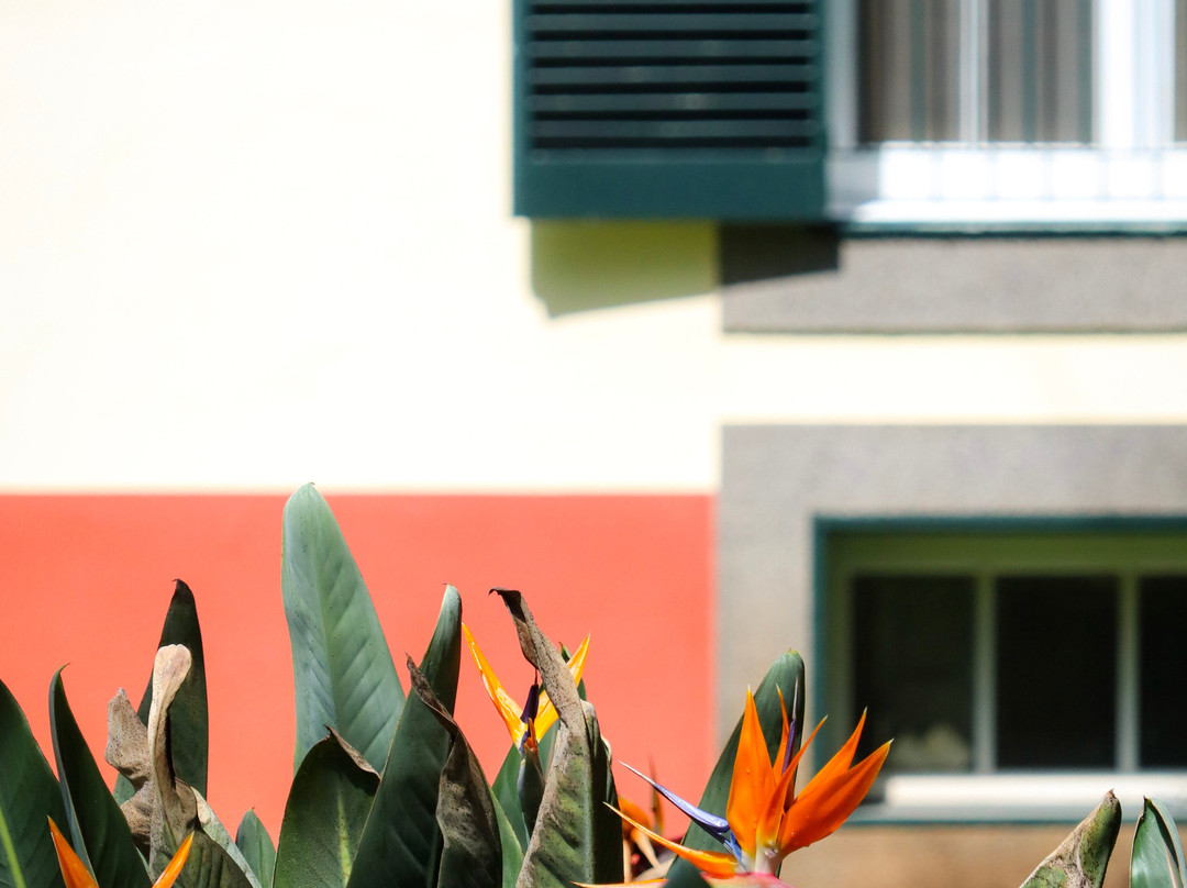 Quinta da Bela Vista主图