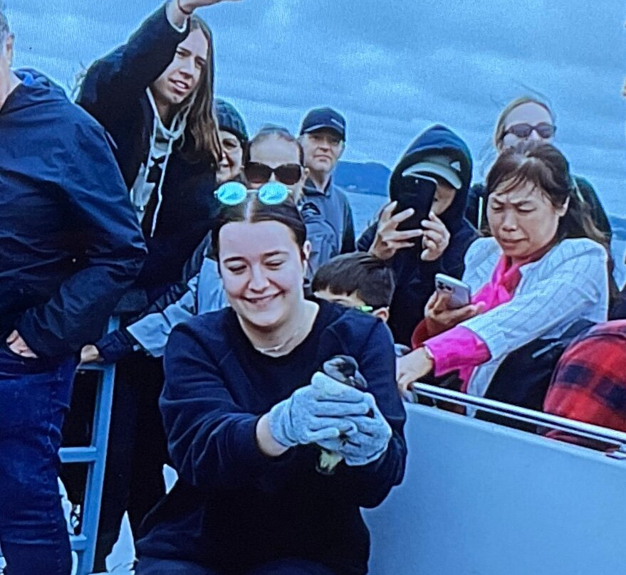 O'Brien's Whale and Bird Tours景点图片