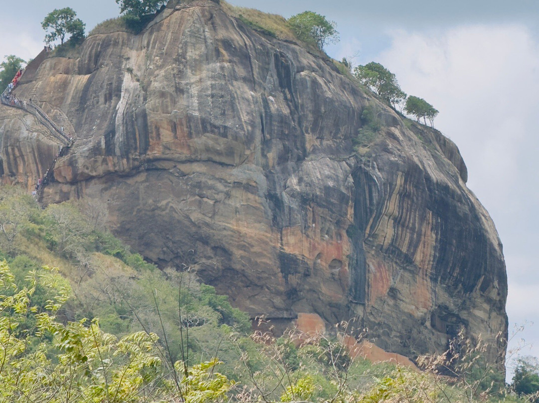 Sigiri Jeep Safari Tours & Tuk/tuk rides-锡吉里亚必去景点