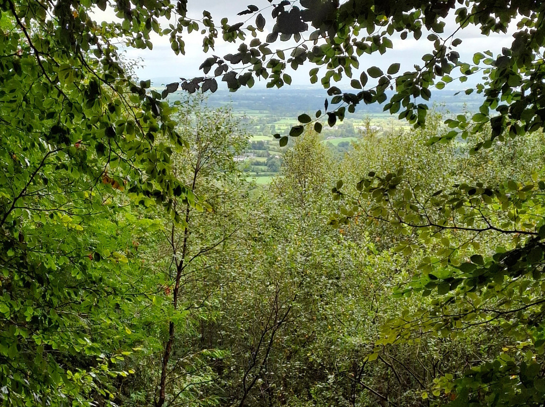 Ballyhoura Mountain Bike Trail-Kilmallock必去景点