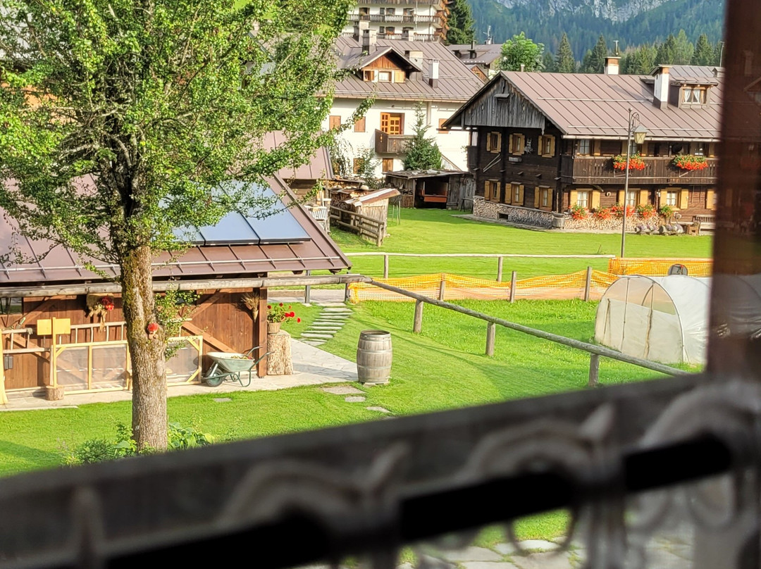 B&b Graz Trojar Haus主图