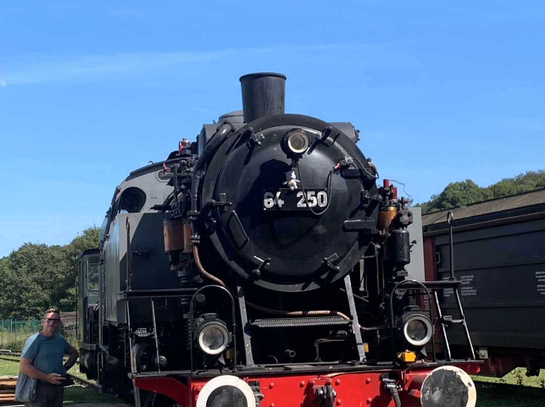 Chemin de Fer Vapeur de Trois Vallees (cfv3v) (Three Valleys Steam Train)景点图片