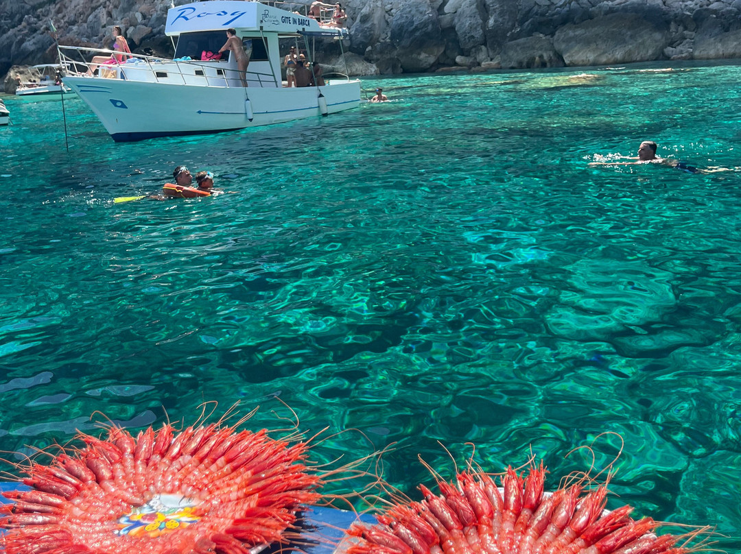 Santuzza Gita in Barca-兰佩杜萨必去景点