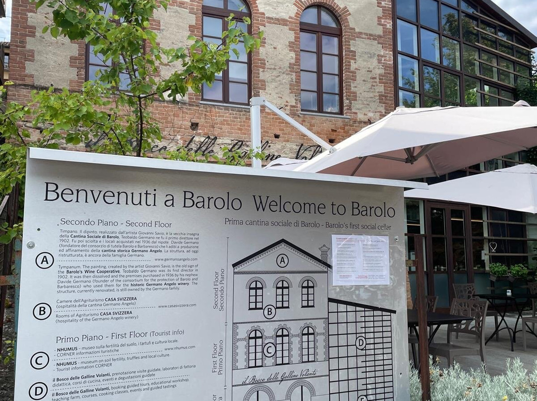 Castello Falletti di Barolo-巴罗洛必去景点