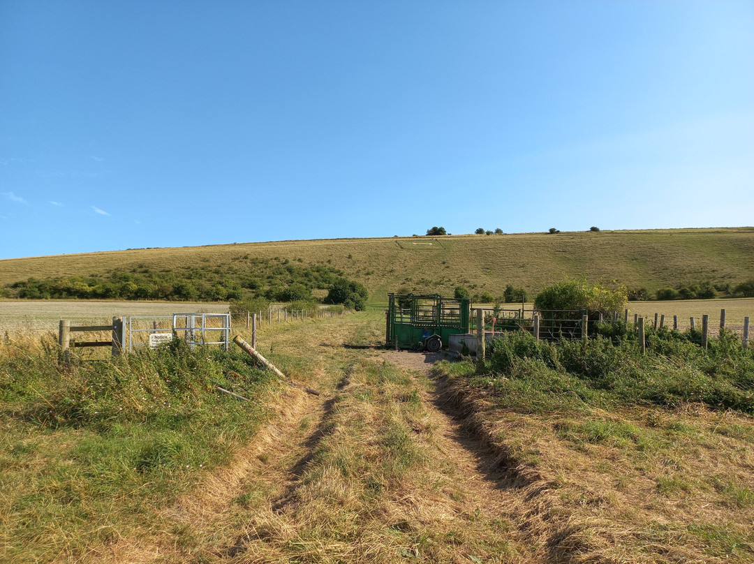 Pewsey White Horse景点图片