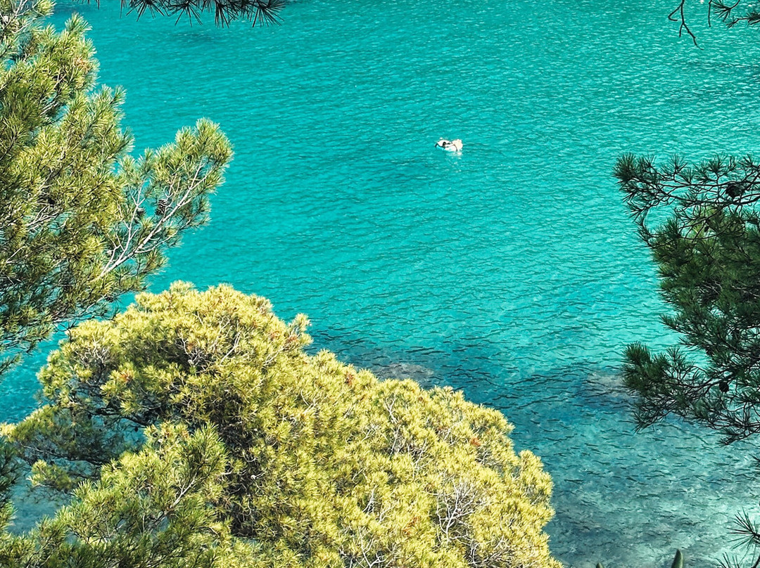 Platja Cala Aiguablava景点图片