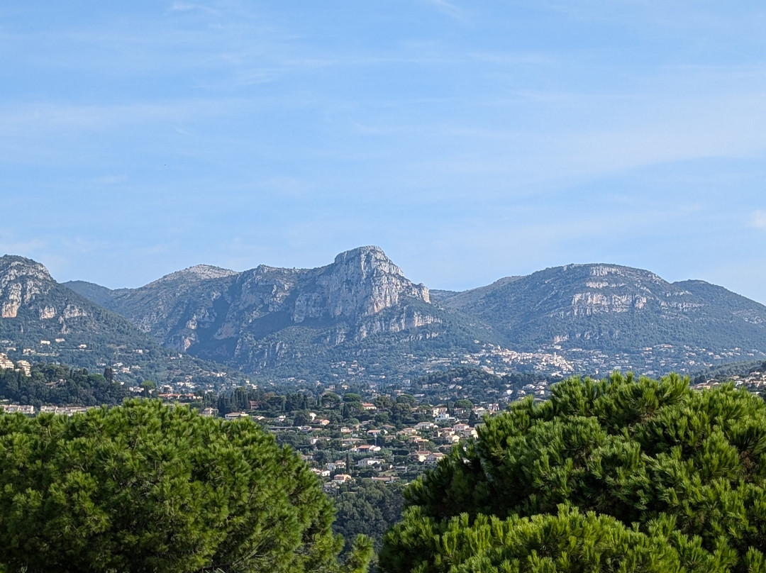 Riviera Come True Luxury Tours-尼斯必去景点