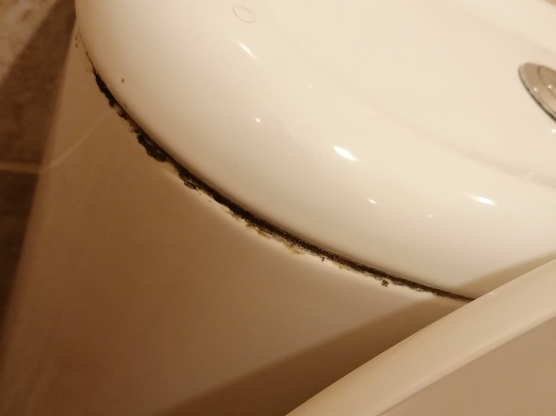 Tennyson Court主图