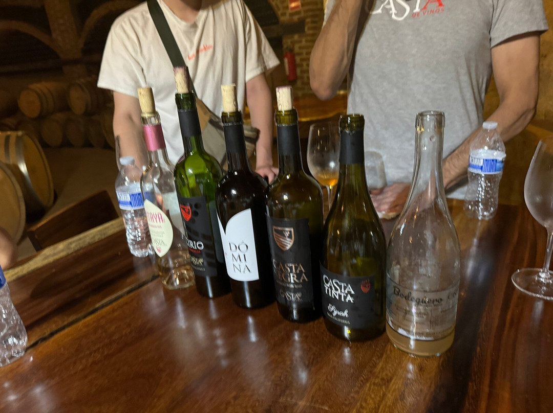 Casta De Vinos景点图片
