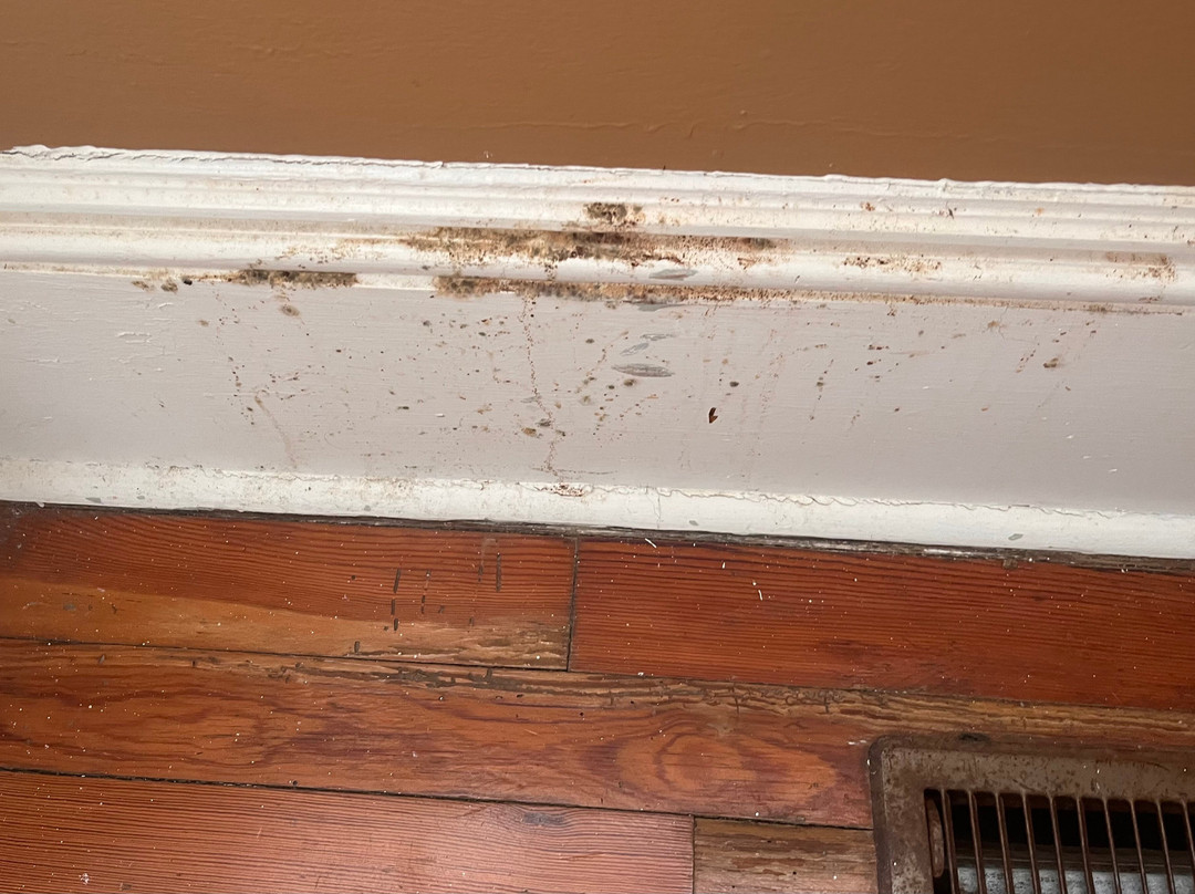 Ellerbe Springs Inn主图