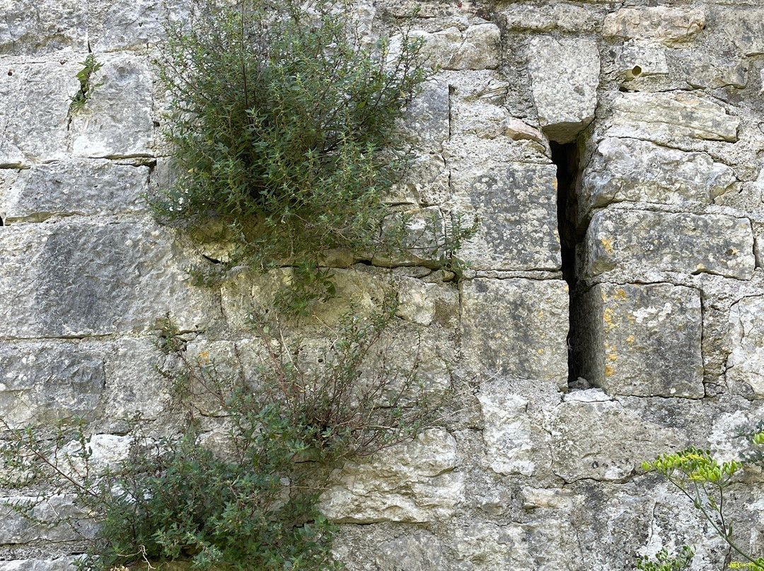 Abbazia di Santa Maria di Sitria景点图片