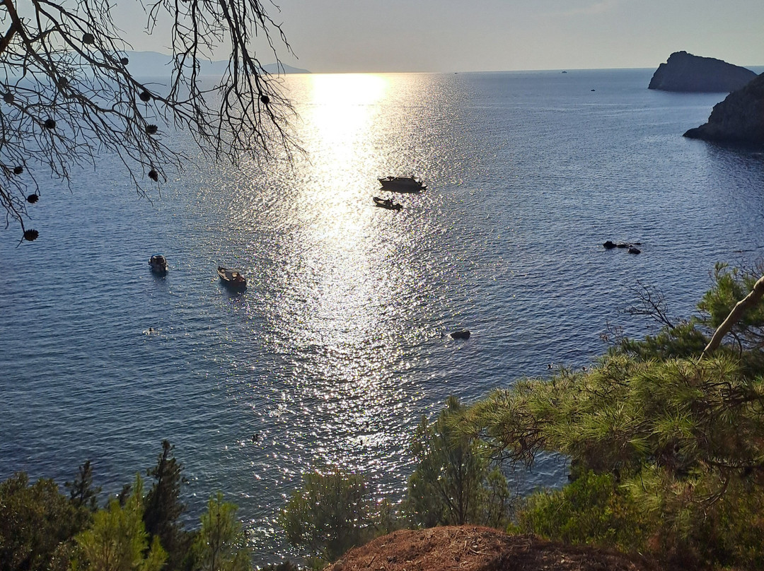 Cala del Gesso景点图片