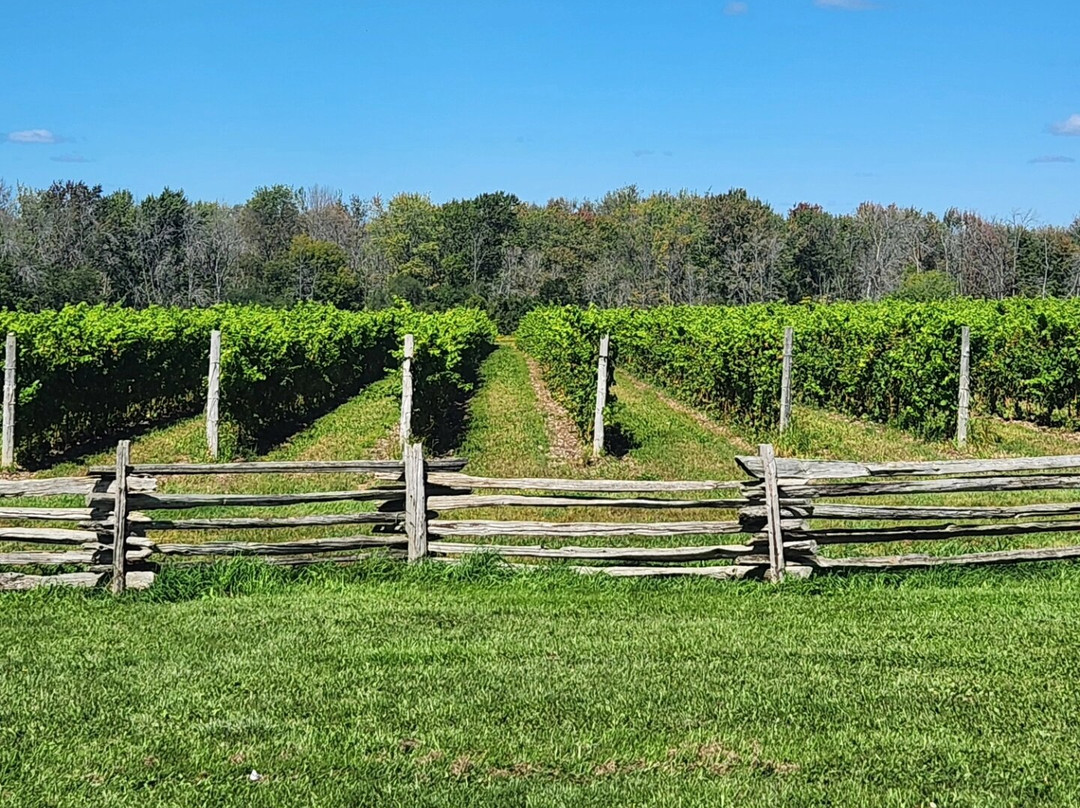 Hinterland Winery景点图片