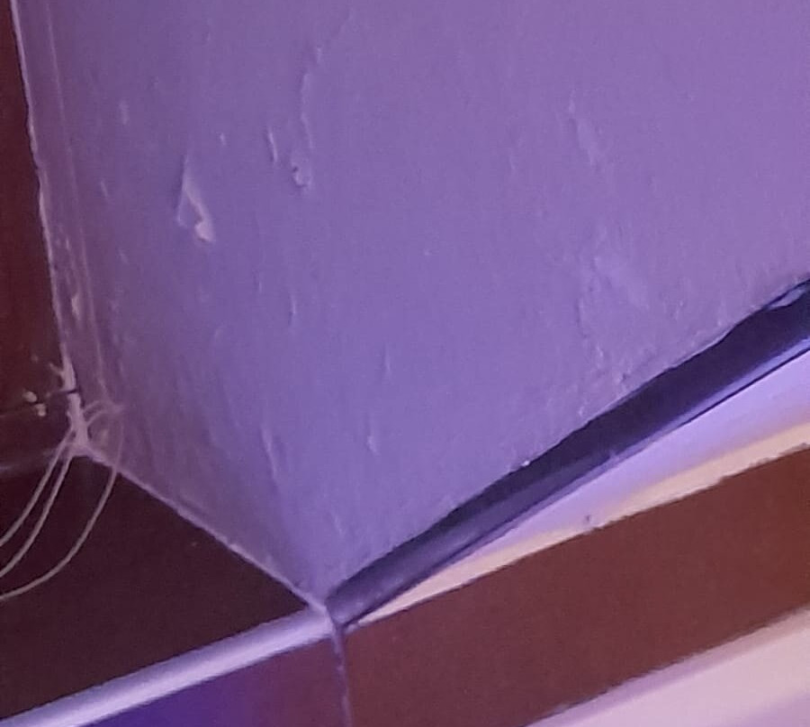 Aparthotel Bubal主图