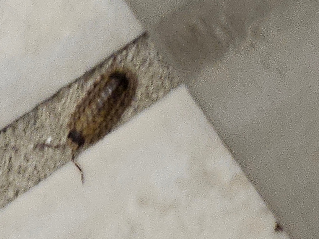 彭比纳贝斯特韦斯特套房及酒店主图