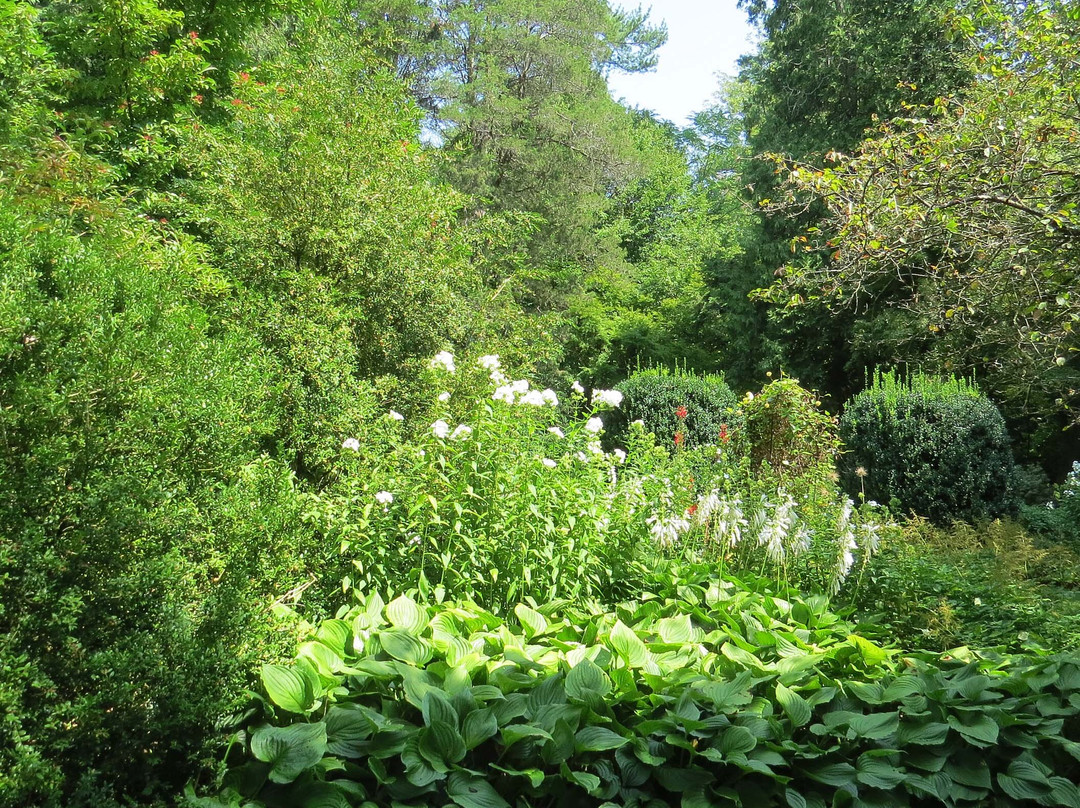 Willowwood Arboretum-Far Hills必去景点