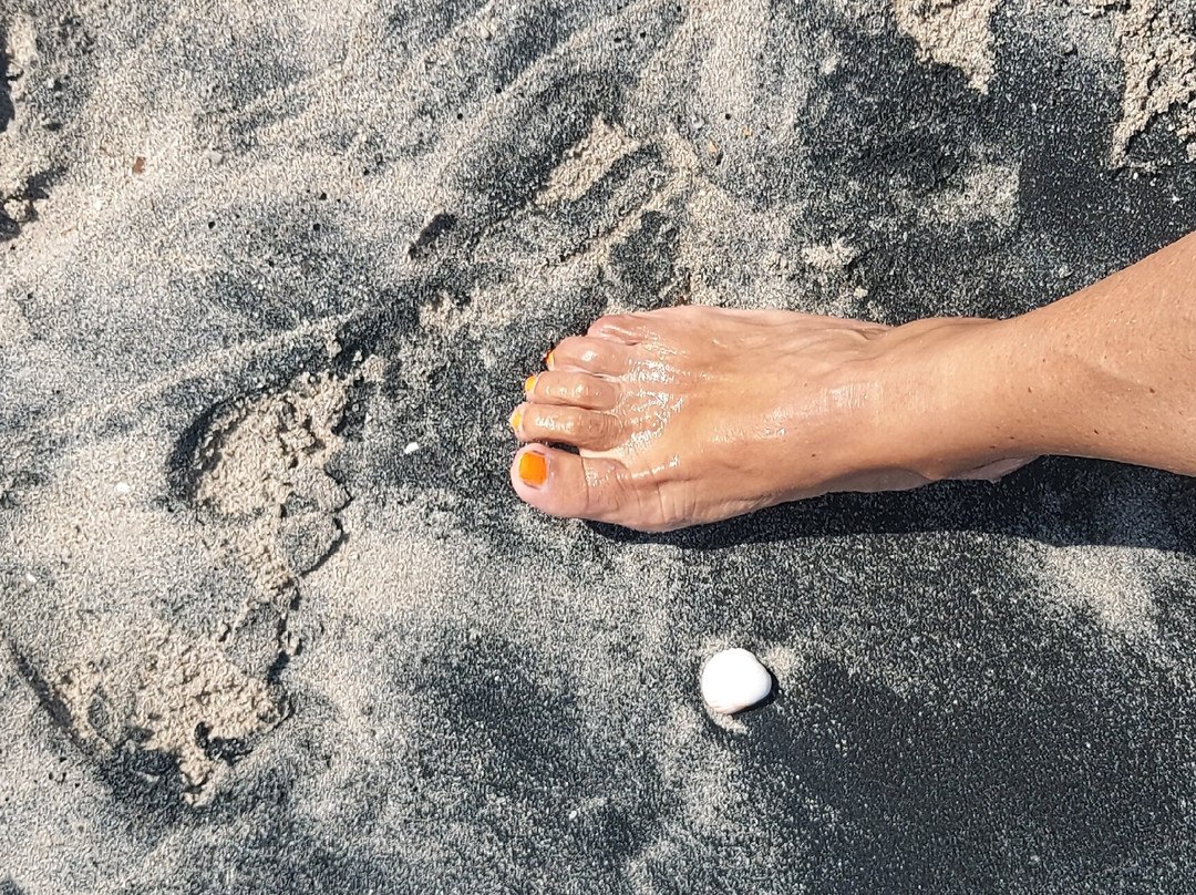 Ultima Spiaggia delle Cesine景点图片