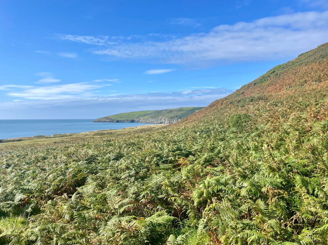 Porth Ceiriad Beach景点图片