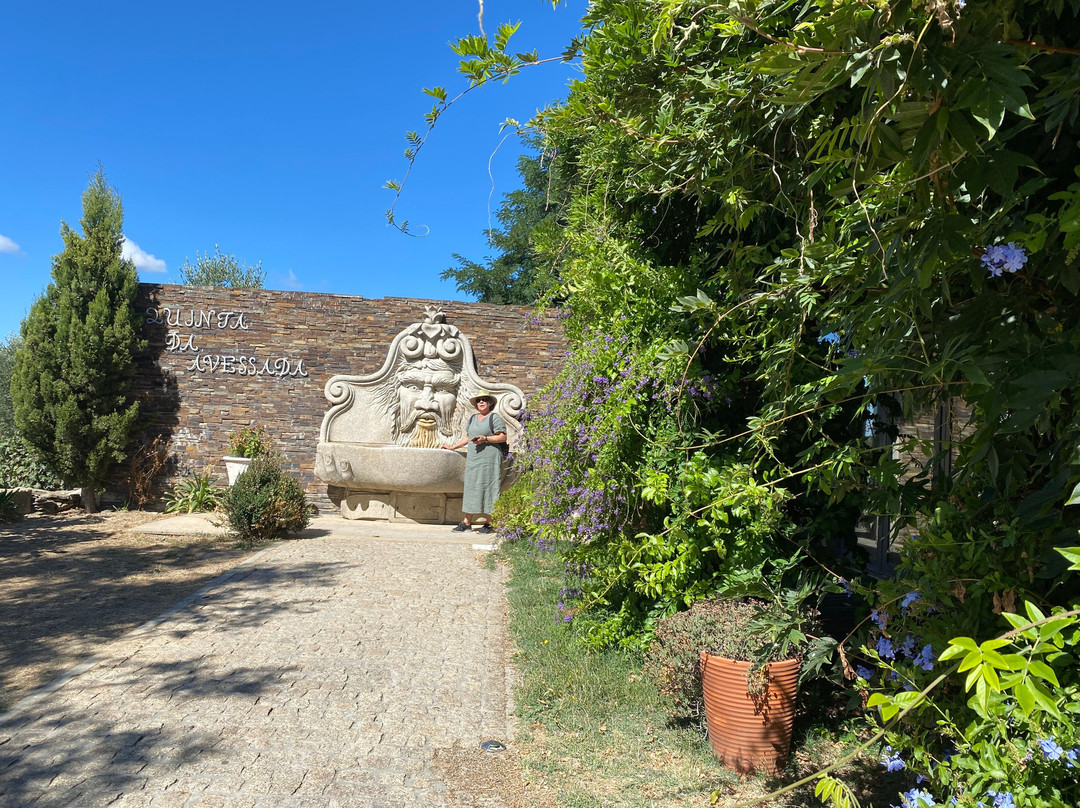 Quinta de Avessada景点图片