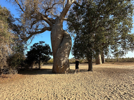 Etiland Tour Madagascar-安塔那那利佛必去景点