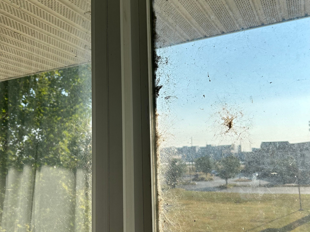 Residence Inn by Marriott Evansville East主图