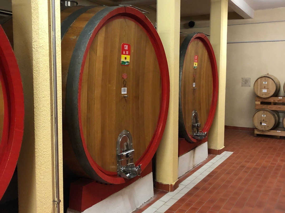 Cantina Valpolicella Negrar景点图片