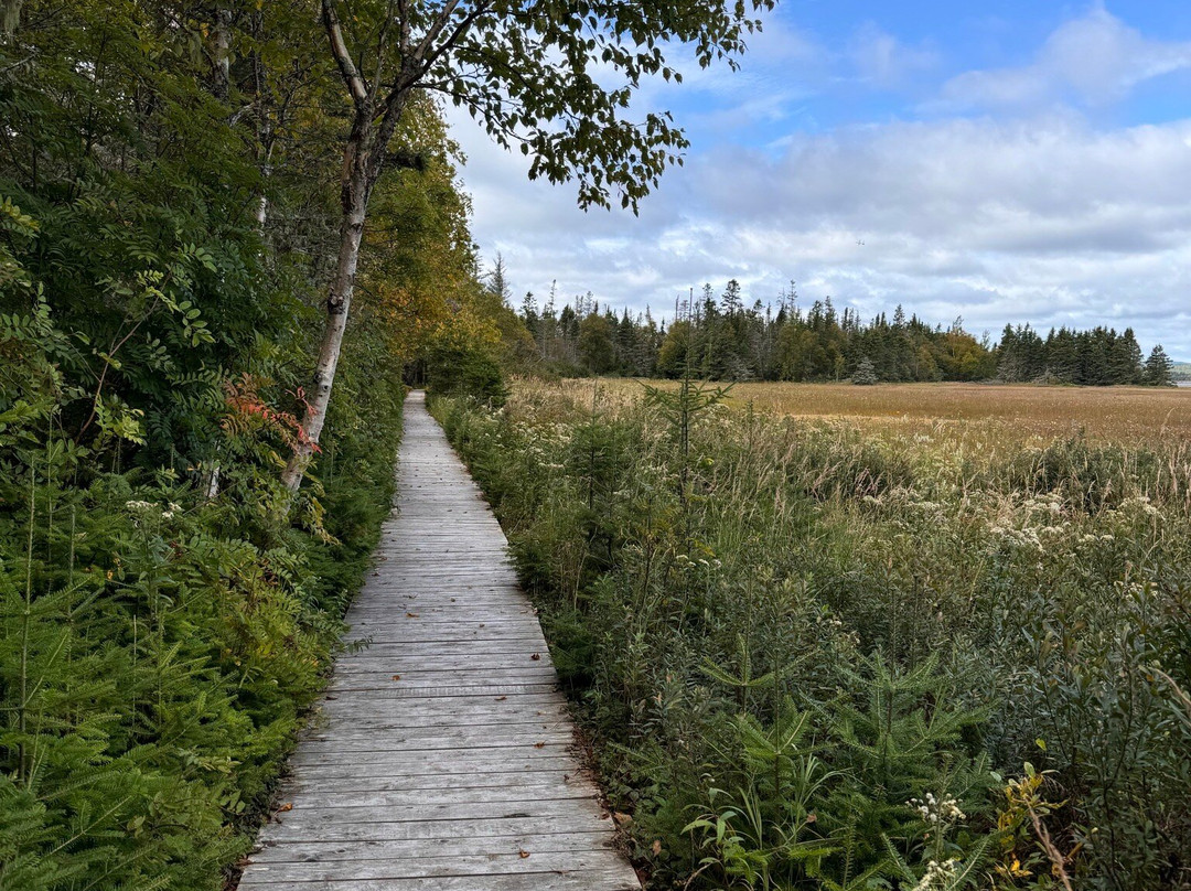 Parc Nature de Pointe-aux-Outardes-Pointe-aux-Outardes必去景点