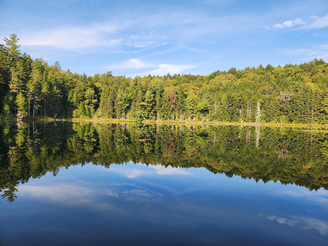 Rocky Gorge Scenic Area-Albany必去景点