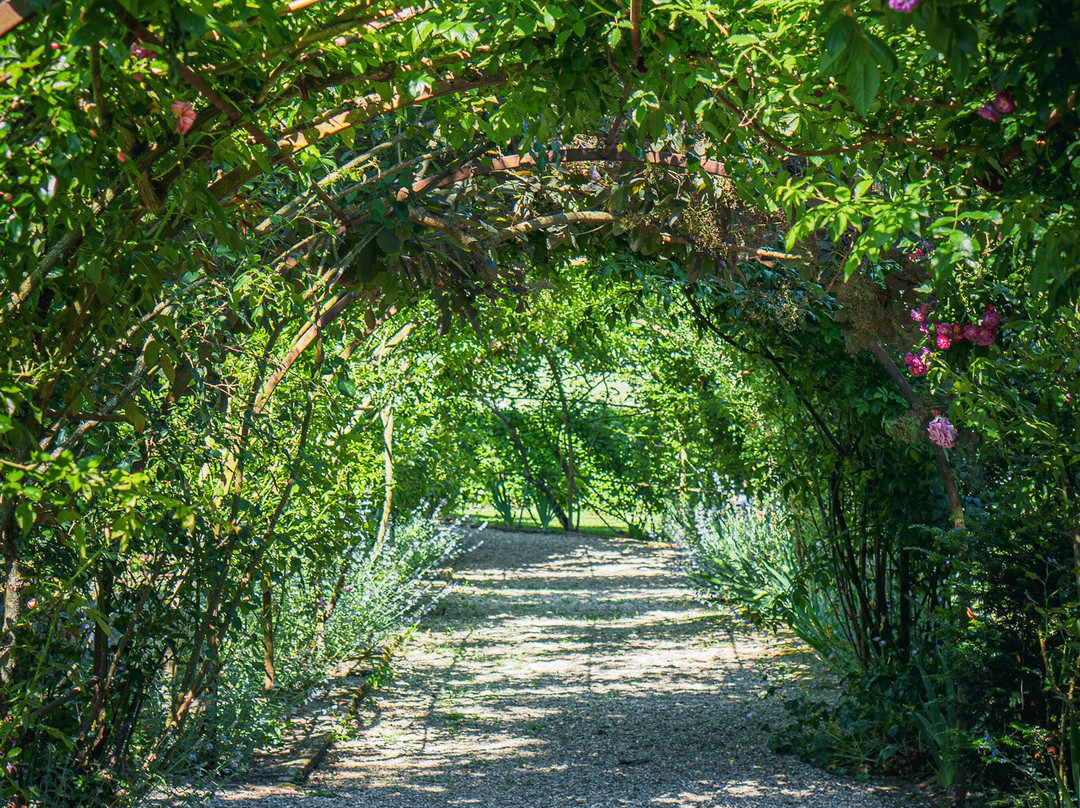 Le Jardin De Marie主图