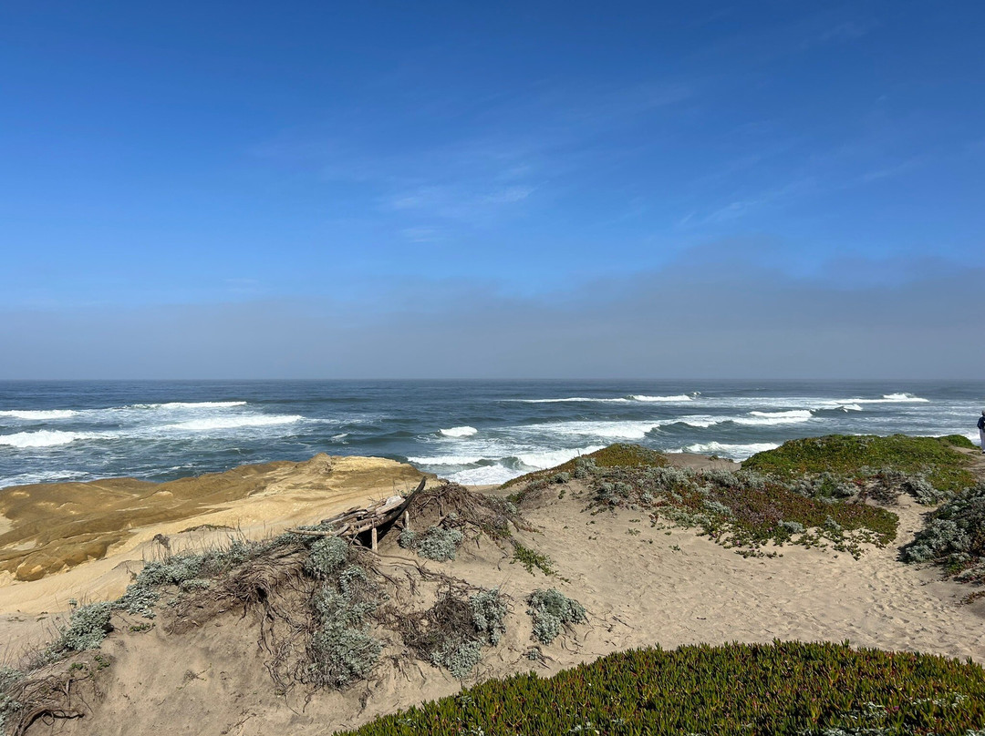 Pescadero State Beach-半月湾必去景点