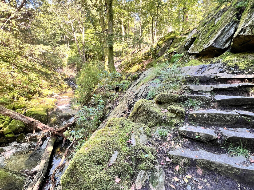 Rydal Hall Gardens景点图片