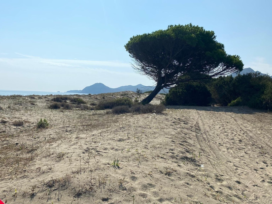 Spiaggia di Feraxi-Muravera必去景点