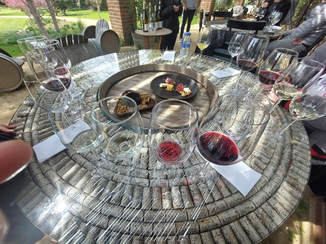 La Casona At Matetic Vineyards主图